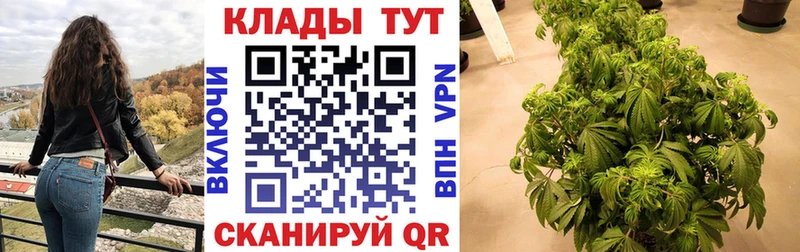 Наркотические вещества Салаир Cocaine Мефедрон Амфетамин Гашиш Псилоцибиновые грибы СОЛЬ