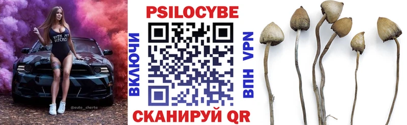 Галлюциногенные грибы Magic Shrooms Салаир