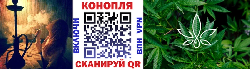 магазин    Салаир  Шишки марихуана план 